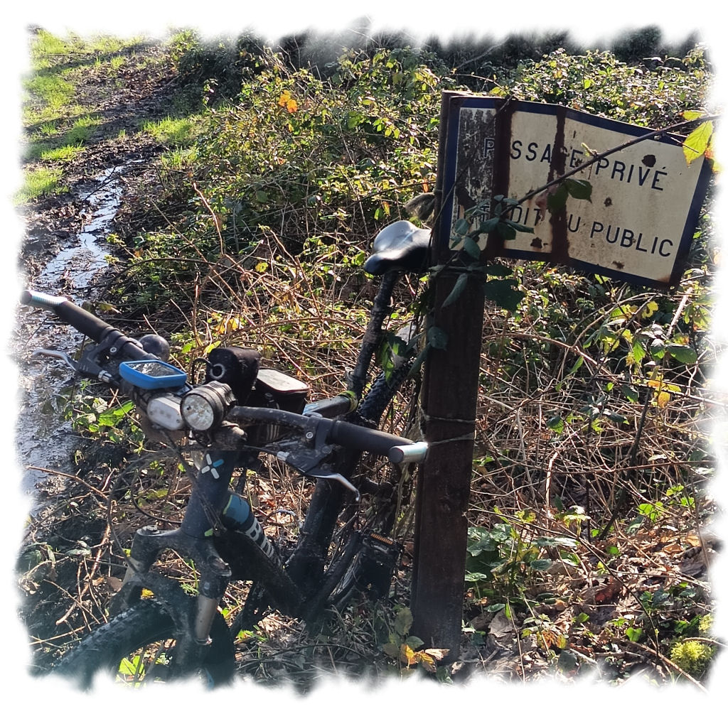 2026 04 12 rocheserviere